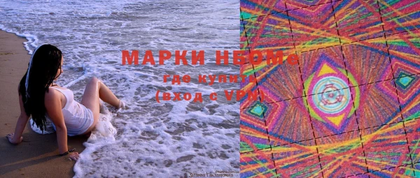 гидра Бронницы