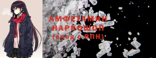 гидра Бронницы