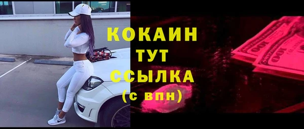 гидра Бронницы