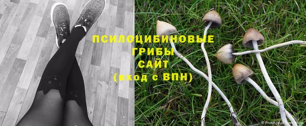 гидра Бронницы