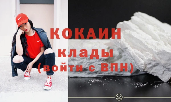 гидра Бронницы